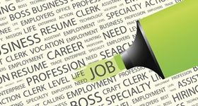 National Career Service
